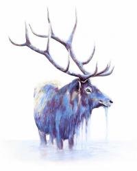 Elk in Water | Obraz na stenu