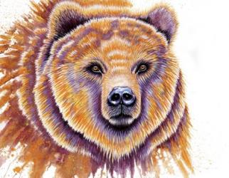 Grizzly Bear | Obraz na stenu