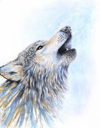 Howling Wolf | Obraz na stenu