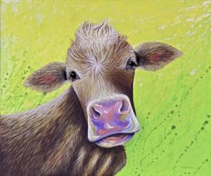 Jersey Cow | Obraz na stenu