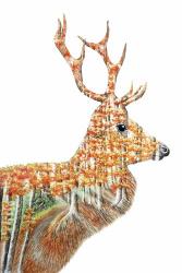 Spirit of the Forest Deer Landscape | Obraz na stenu