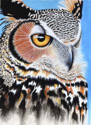 Great Horned Owl Eye | Obraz na stenu