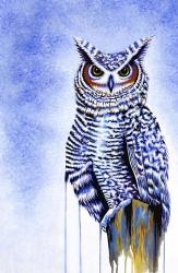 Great Horned Owl In Blue | Obraz na stenu