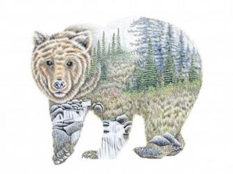 Scenic Bear | Obraz na stenu
