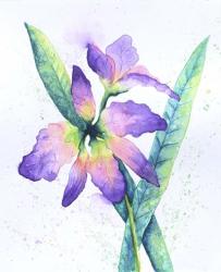 Purple Orchid | Obraz na stenu