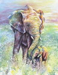 Mother & Baby Elephant Rainbow Colors | Obraz na stenu