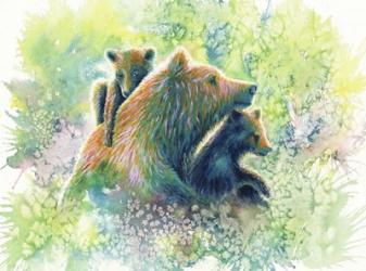 Mother Grizzly Bear | Obraz na stenu