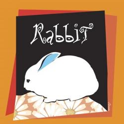 Home Rabbit | Obraz na stenu