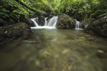 Lake Sebu | Obraz na stenu