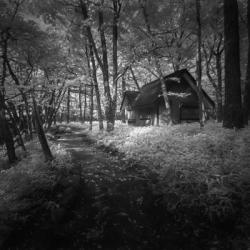 Cabin in the Woods | Obraz na stenu