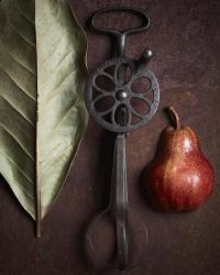 Leaf with Pear 1 | Obraz na stenu