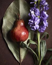 Leaf with Pear 2 | Obraz na stenu