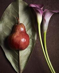 Leaf with Pear 3 | Obraz na stenu