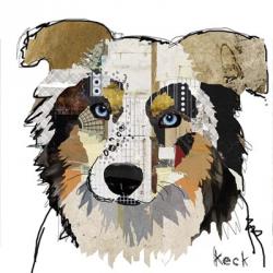 Australian Shepherd | Obraz na stenu