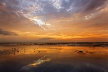 Port Aransas Campground Sunrise | Obraz na stenu