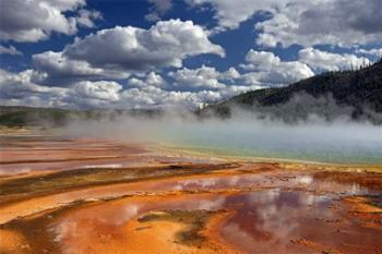 Prismatic Springs | Obraz na stenu