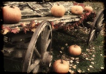 Pumpkin Wagon | Obraz na stenu