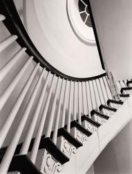 Winding Staircase | Obraz na stenu