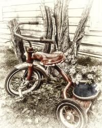 Red Tricycle | Obraz na stenu