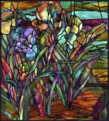 Candy Coated Irises | Obraz na stenu