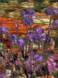 Stained Glass Poppies | Obraz na stenu