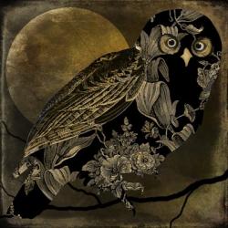 Sepia Moon Owl | Obraz na stenu