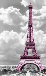 Paris Pink | Obraz na stenu
