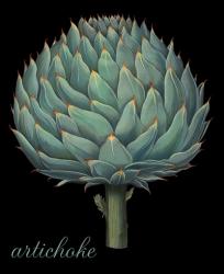 Artichoke | Obraz na stenu