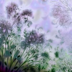 Lavender Day | Obraz na stenu