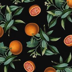 Nature's Bounty -  Oranges | Obraz na stenu