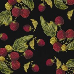 Nature's Bounty -  Raspberries | Obraz na stenu