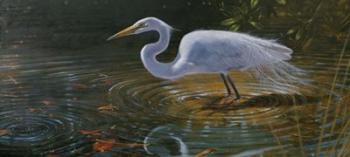 Egret | Obraz na stenu