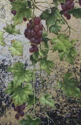 Grapes | Obraz na stenu