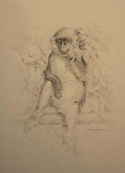Monkey Sketch | Obraz na stenu