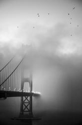 Golden Gate and Birds | Obraz na stenu