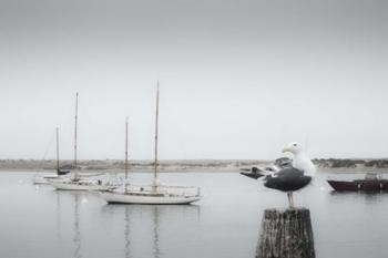 Four Boats & Seagull | Obraz na stenu