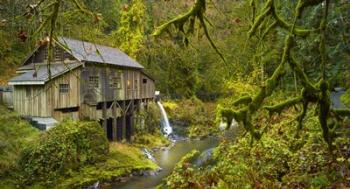 Cedar Creek Grist Mill | Obraz na stenu