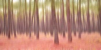 Blurred Trees 5 | Obraz na stenu