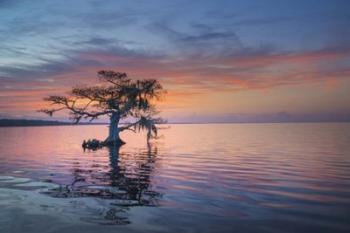 Alone at Sunrise | Obraz na stenu