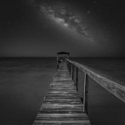 Milky Way in Florida 2 | Obraz na stenu