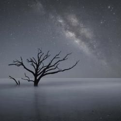 Milky Way In Botany Bay 1 | Obraz na stenu