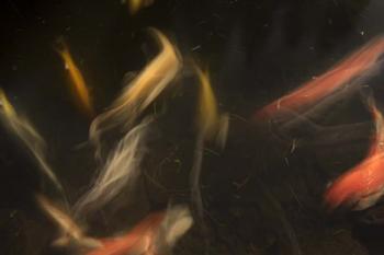 Movement 3 | Obraz na stenu