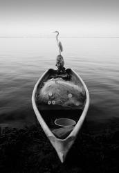 Canoe And A Heron | Obraz na stenu