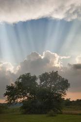 Evening Sunbeams, Sturgis, Michigan 10 | Obraz na stenu