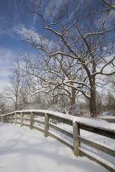 Fence in the Snow #2, Farmington Hills, Michigan 09 | Obraz na stenu
