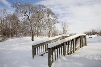 Snow Bridge, Farmington Hills, Michigan 09 | Obraz na stenu