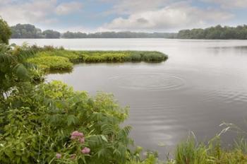 St. Joseph River, Centreville, Michigan 10 | Obraz na stenu