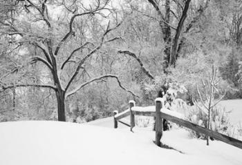 Snowscape, Farmington Hills, Michigan 08 | Obraz na stenu