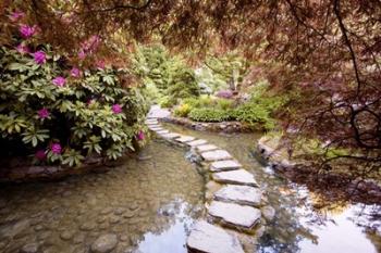 Stepping Stones at Butchart Gardens #2, Victoria, B.C. 09 | Obraz na stenu