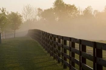 Morning Mist & Fence, Kentucky 08 | Obraz na stenu